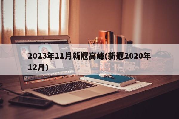 2023年11月新冠高峰(新冠2020年12月)