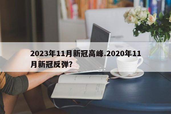 2023年11月新冠高峰.2020年11月新冠反弹?
